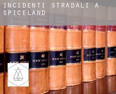 Incidenti stradali a  Spiceland