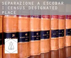 Separazione a Escobar I