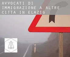 Avvocati di immigrazione a  Altre città in Elazig