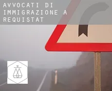 Avvocati di immigrazione a  Requistat