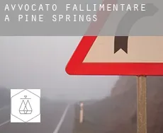 Avvocato fallimentare a  Pine Springs