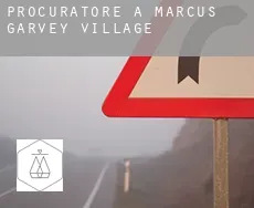 Procuratore a  Marcus Garvey Village