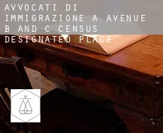 Avvocati di immigrazione a  Avenue B and C