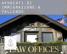 Avvocati di immigrazione a  Tallende