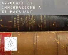 Avvocati di immigrazione a Kilmacshane