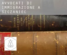 Avvocati di immigrazione a  Szczaniec