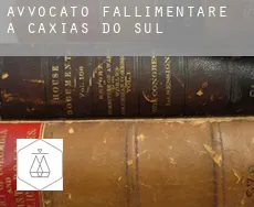 Avvocato fallimentare a Caxias do Sul