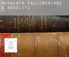 Avvocato fallimentare a  Koselitz