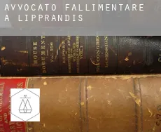 Avvocato fallimentare a  Lipprandis