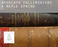 Avvocato fallimentare a  Maple Spring