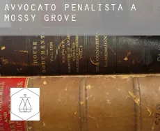 Avvocato penalista a  Mossy Grove
