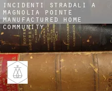 Incidenti stradali a  Magnolia Pointe Manufactured Home Community