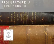 Procuratore a  Birkenbusch