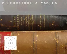 Procuratore a  Yambla