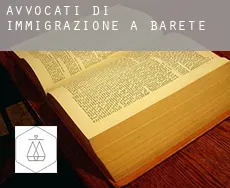 Avvocati di immigrazione a  Barete