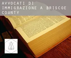 Avvocati di immigrazione a  Briscoe County