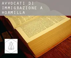 Avvocati di immigrazione a  Hormilla