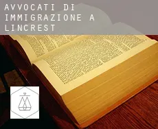 Avvocati di immigrazione a  Lincrest
