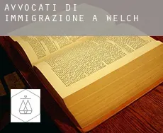 Avvocati di immigrazione a  Welch