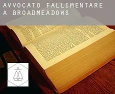 Avvocato fallimentare a Broadmeadows