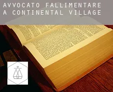 Avvocato fallimentare a  Continental Village