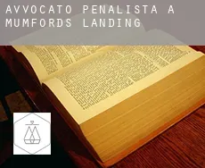 Avvocato penalista a  Mumfords Landing