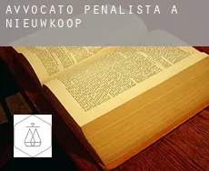 Avvocato penalista a  Nieuwkoop