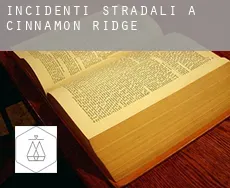 Incidenti stradali a  Cinnamon Ridge
