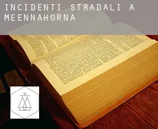 Incidenti stradali a  Meennahorna