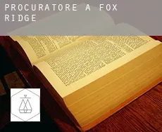 Procuratore a  Fox Ridge