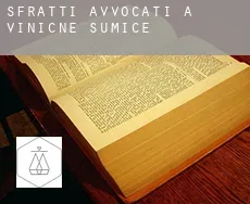 Sfratti avvocati a Viničné Šumice