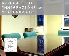 Avvocati di immigrazione a  Meadowbrook