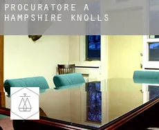 Procuratore a  Hampshire Knolls