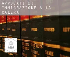 Avvocati di immigrazione a  La Calera