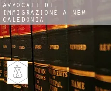 Avvocati di immigrazione a  New Caledonia
