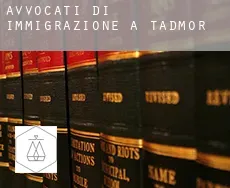 Avvocati di immigrazione a Tadmor