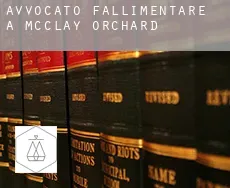 Avvocato fallimentare a  McClay Orchard