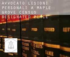 Avvocato lesioni personali a  Maple Grove