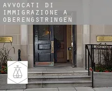 Avvocati di immigrazione a  Oberengstringen