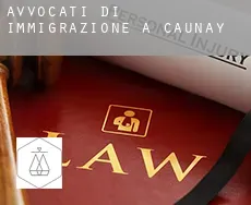 Avvocati di immigrazione a  Caunay