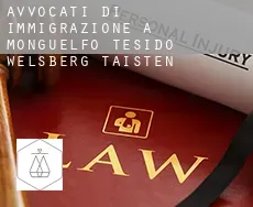 Avvocati di immigrazione a Monguelfo-Tesido