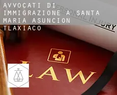 Avvocati di immigrazione a  Santa María Asunción Tlaxiaco