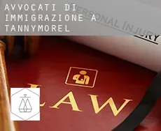 Avvocati di immigrazione a  Tannymorel