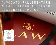 Avvocato fallimentare a  Las Palmas II