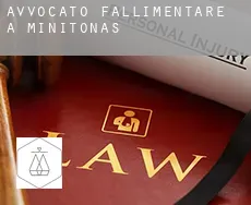 Avvocato fallimentare a  Minitonas