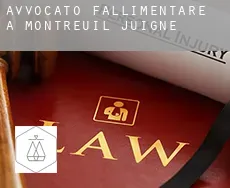 Avvocato fallimentare a Montreuil-Juigné