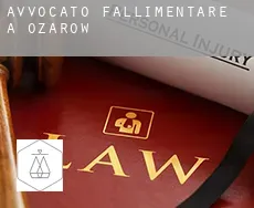 Avvocato fallimentare a  Ożarów