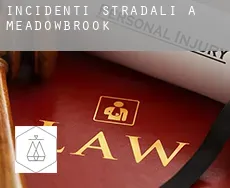 Incidenti stradali a  Meadowbrook