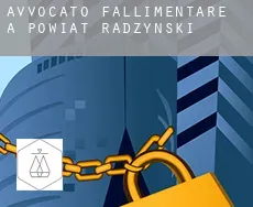 Avvocato fallimentare a  Powiat radzyński
