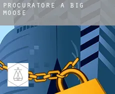 Procuratore a  Big Moose